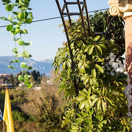 The Stone Nest By Corfuescapes Evropouloi