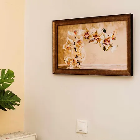 The Stone Nest By Corfuescapes *